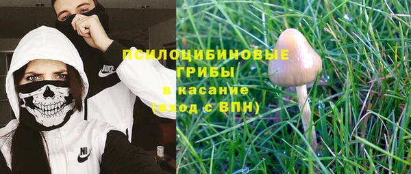 не бодяженный Надым