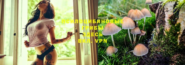 не бодяженный Надым